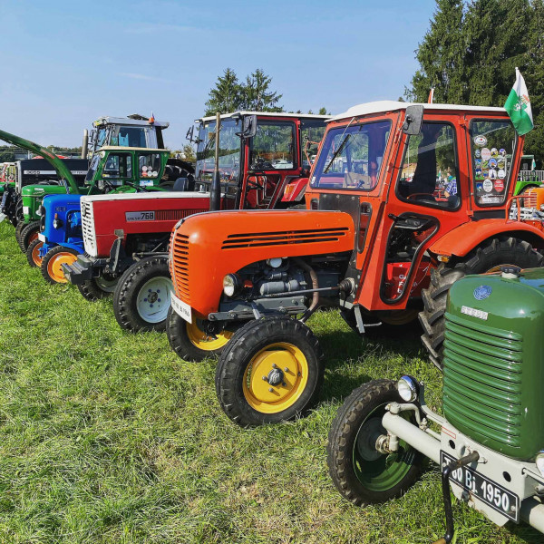 Steyr-Traktor-Oldtimer-Preise-Wert-Verkauf