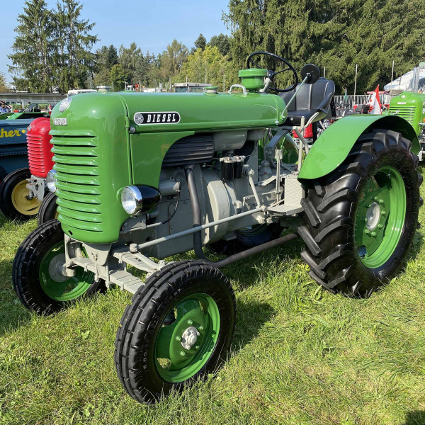Steyr-Traktor-Motor-Frostschaden-Kaufen-Oldtimer